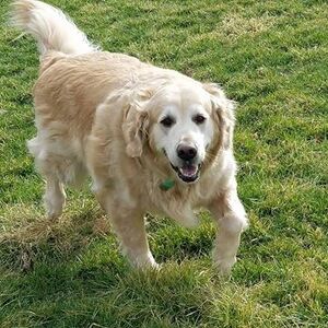 Fundraising Page: Louise Johnson